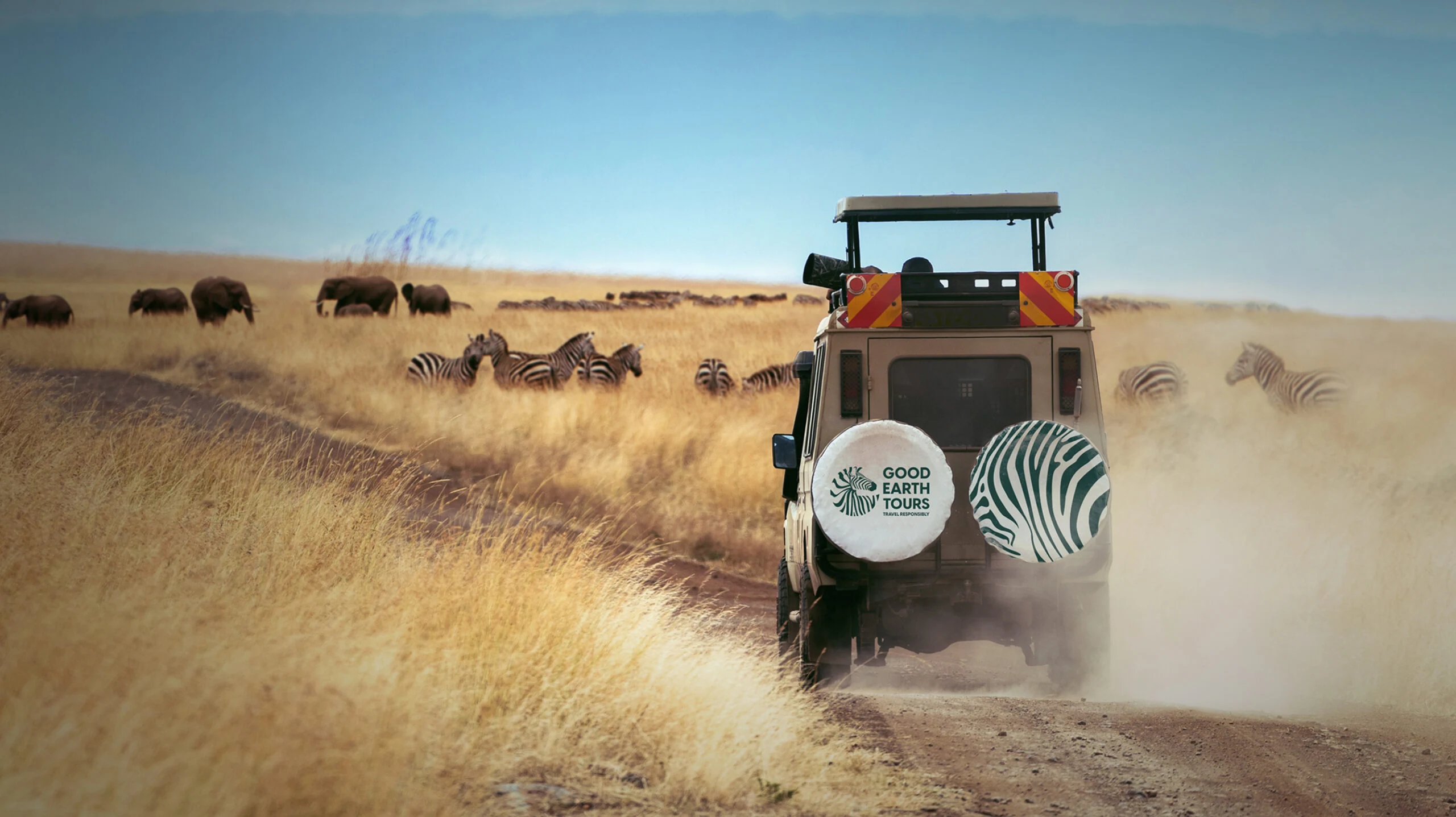 Safari vehicle with a Good Earth Tours spare wheel cover driving past zebras on the plains