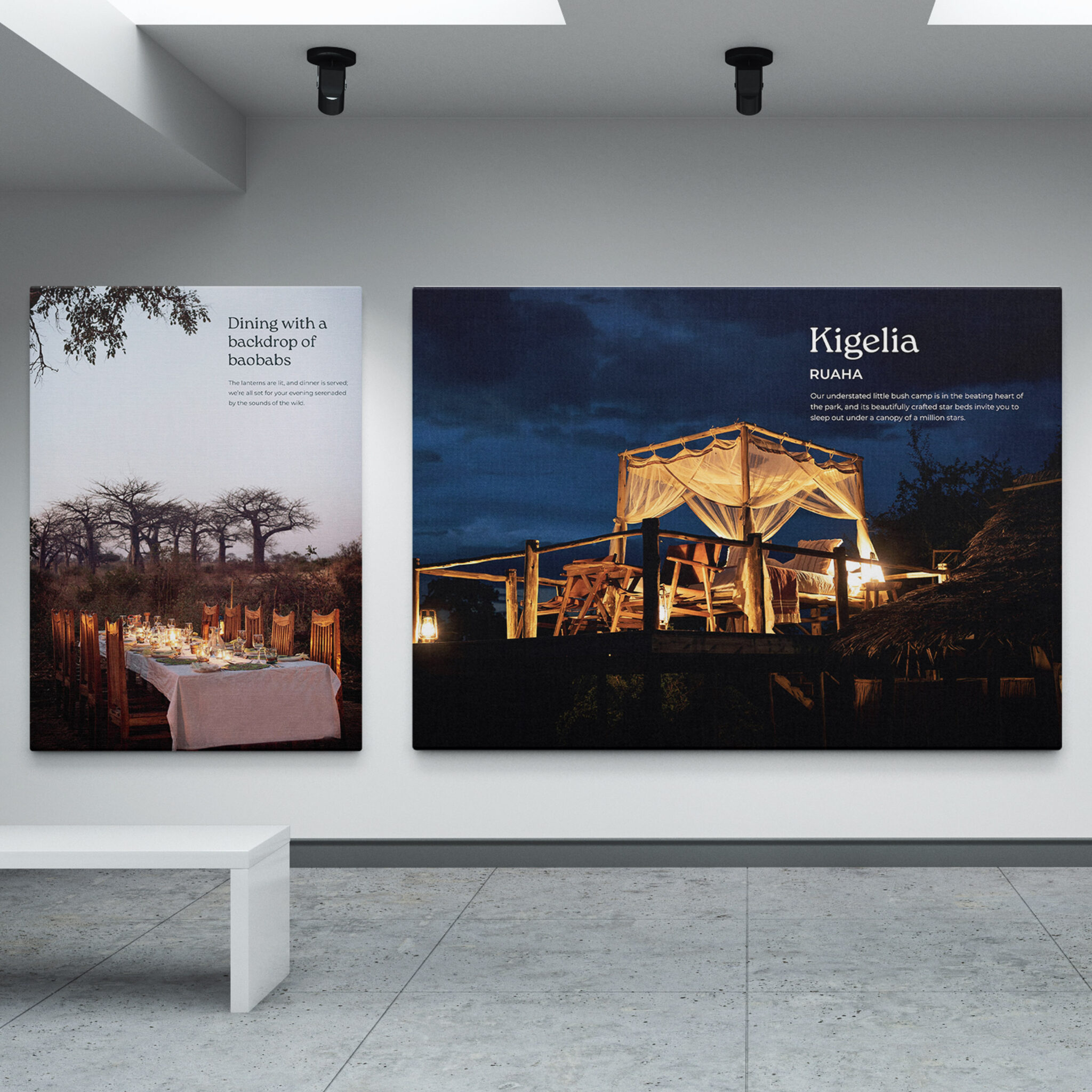 Nomad Tanzania office branding rollout case study visual