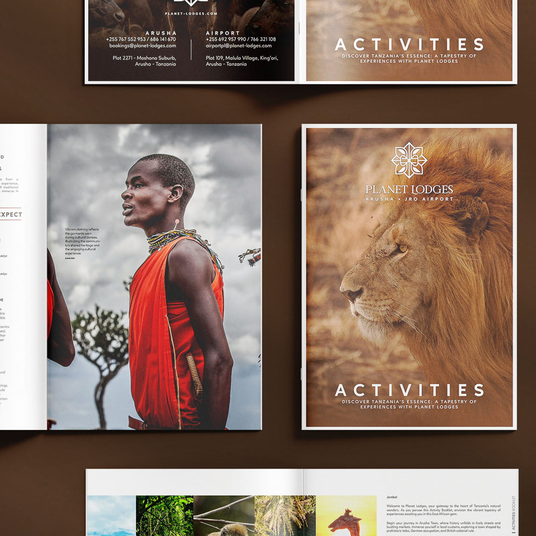 Rivertrees Social Media Case Study VisualsNOMAD BRANDING copy 3_1