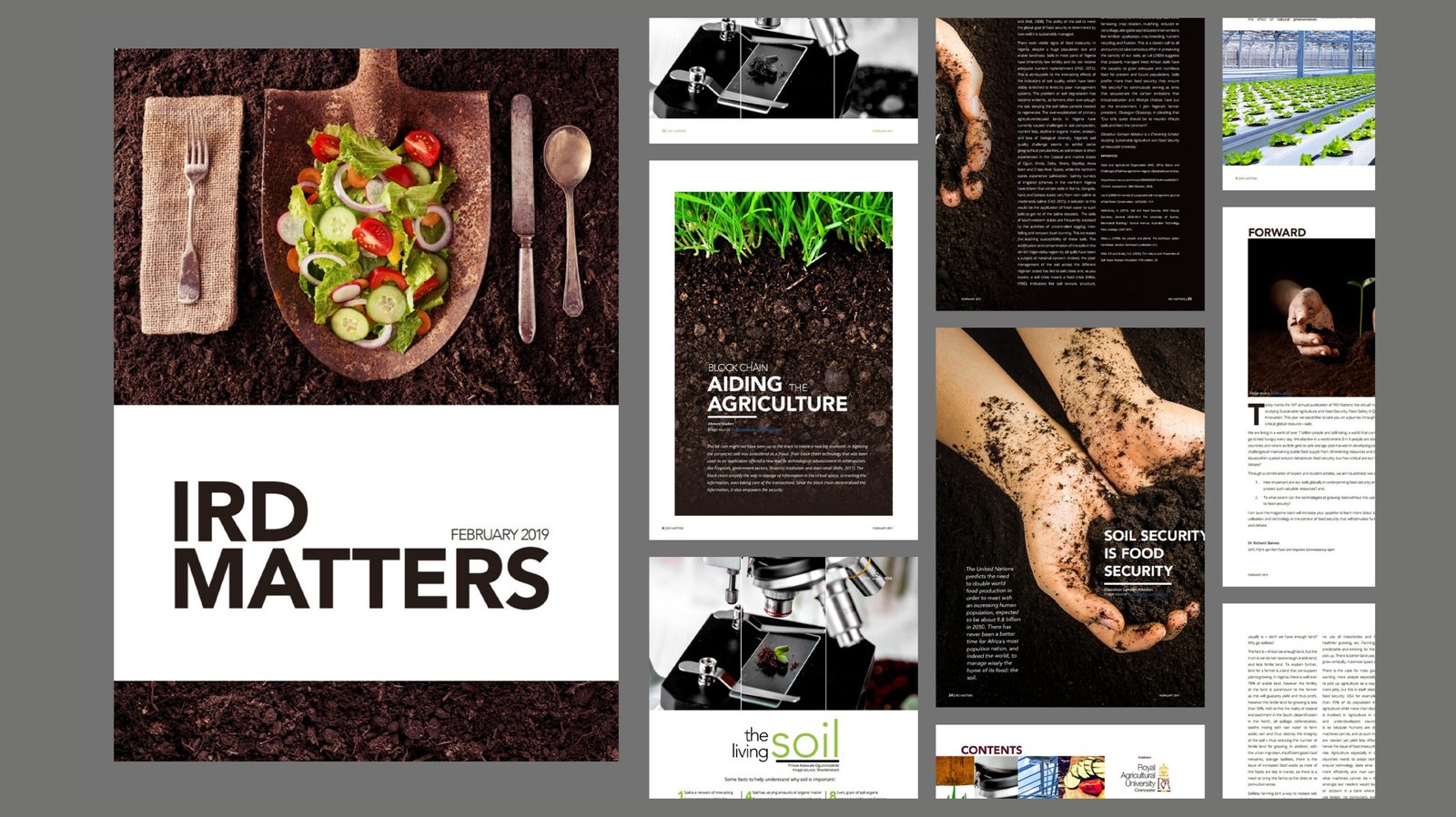 Editorials Case Study VisualsBanner 1 copy
