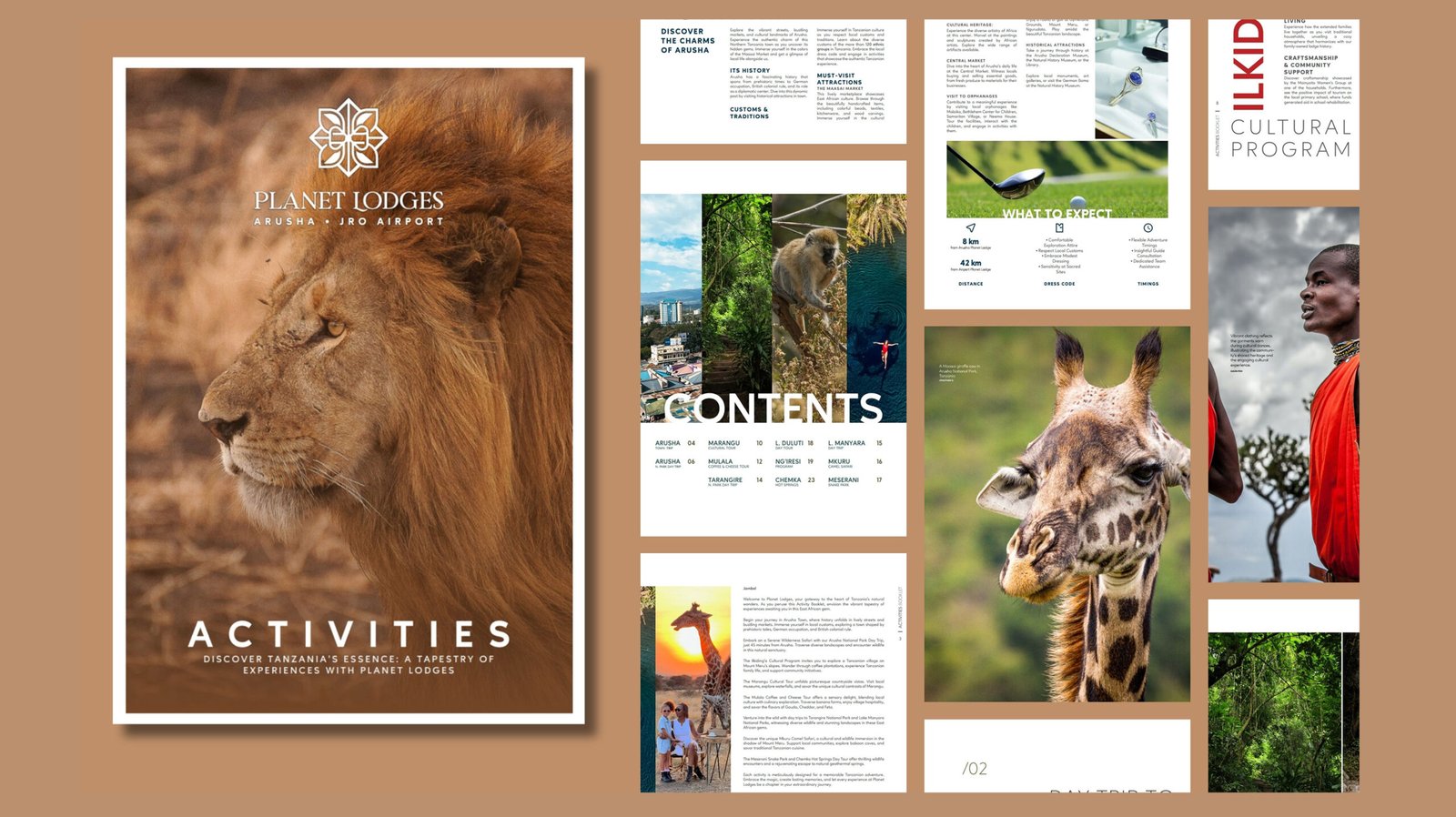 Editorials Case Study VisualsBanner 1 copy
